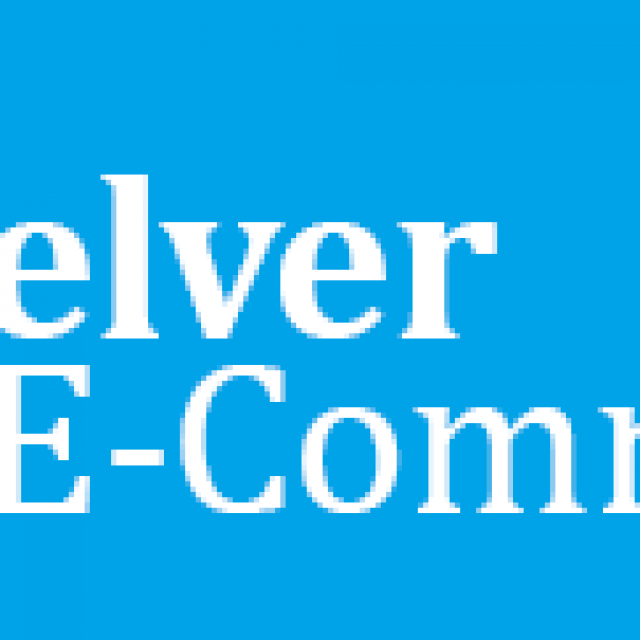Elver E-commerce Accountants